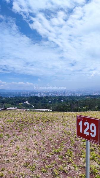 Lote en Venta, BOSQUE MASARYK, Floridablanca, Floridablanca