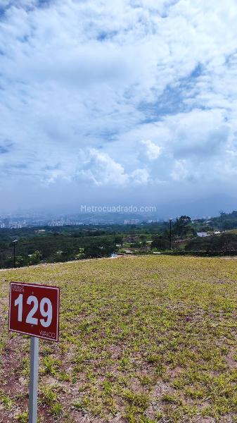 Lote en Venta, BOSQUE MASARYK, Floridablanca - Widok 4