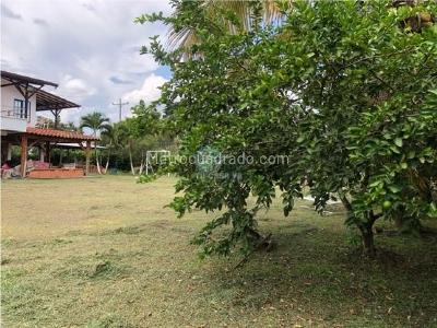 Casa en venta en Via Alcala, Pereira · foto 7 de 20