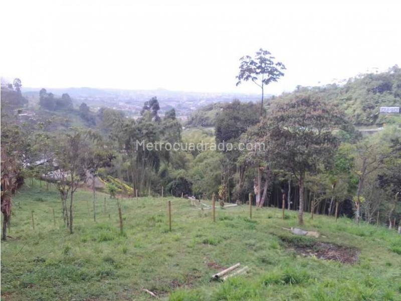 Lote en Venta, Variante Romelia El Pollo, Dosquebradas - Vista 2