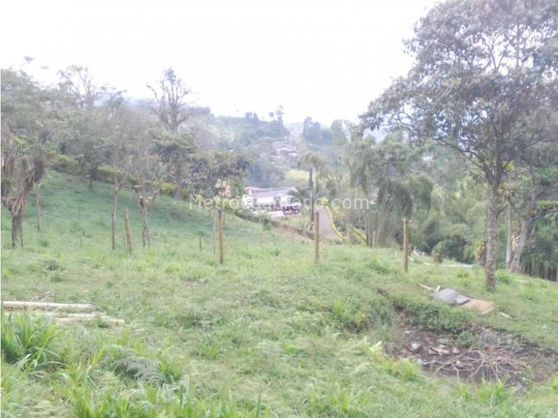 Lote en Venta, Variante Romelia El Pollo, Dosquebradas - Vista 3