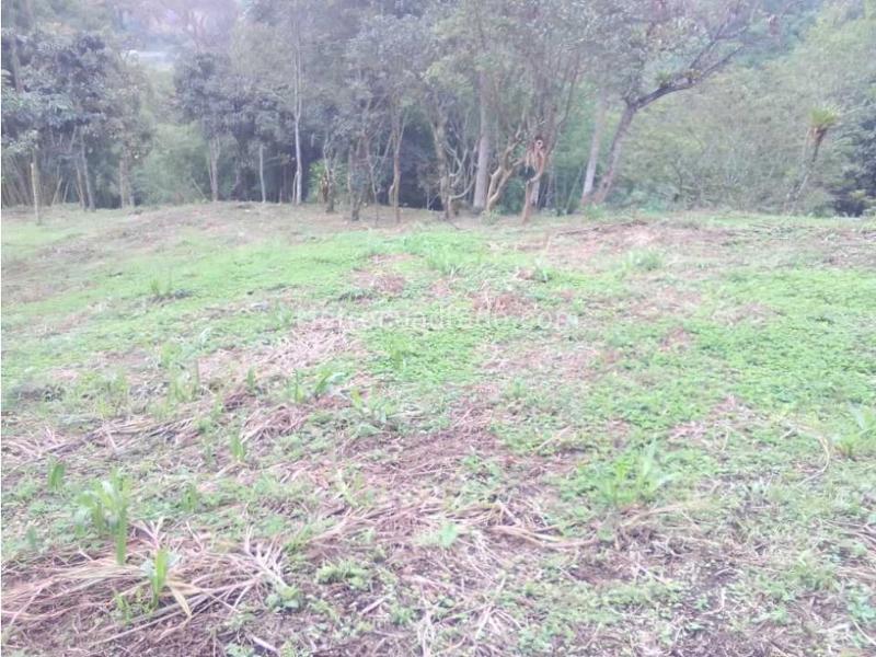 Lote en Venta, Variante Romelia El Pollo, Dosquebradas - Vista 4