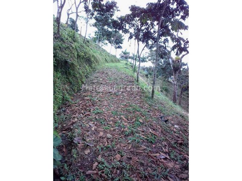 Lote en Venta, Variante Romelia El Pollo, Dosquebradas - Más