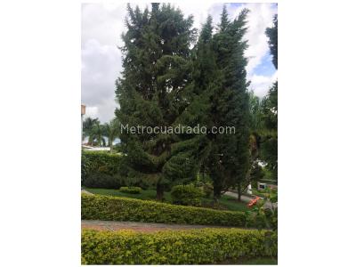 Casa de 5 alcobas en venta en Via Armenia Pereira, Pereira, 770 m² · foto 5 de 20