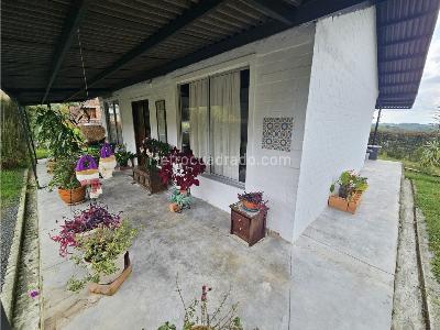 Casa en venta en Via Armenia Pereira, Pereira · foto 12 de 14