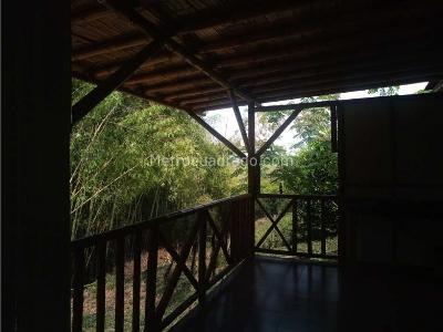 Casa en venta en Morelia, Pereira · foto 10 de 20
