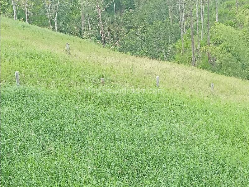 Lote en Venta, Morelia, Pereira - Vista 2