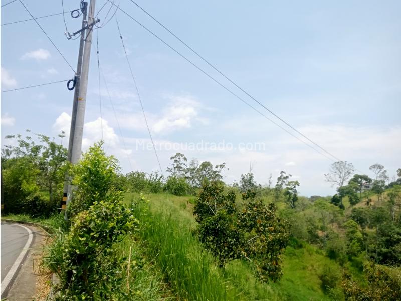 Lote en Venta, Morelia, Pereira - Vista 3