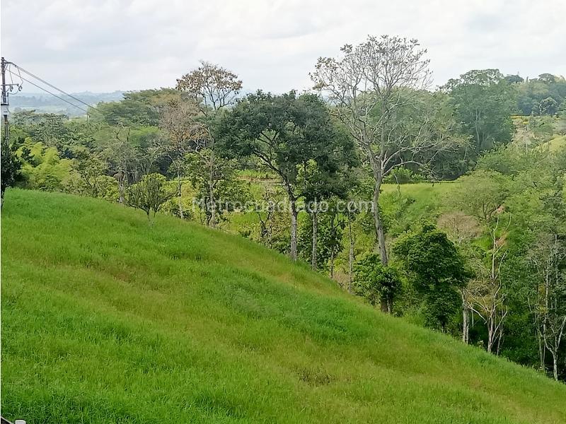 Lote en Venta, Morelia, Pereira - Vista 4