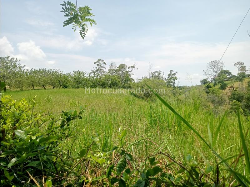 Lote en Venta, Morelia, Pereira - Más