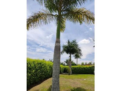 Casa de 4 alcobas en venta en Cerritos, Pereira, 1177 m² · foto 12 de 20