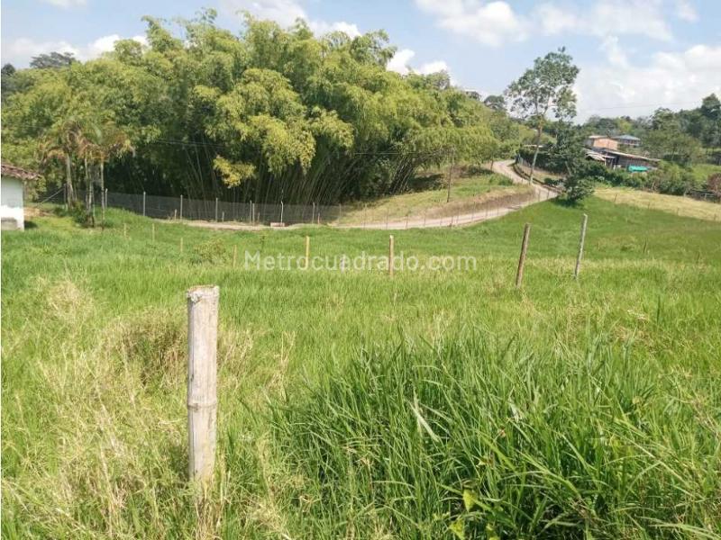 Lote en Venta, Avenida Condina, Pereira - Vista 2