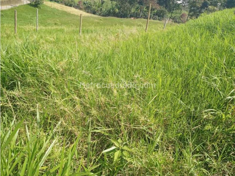 Lote en Venta, Avenida Condina, Pereira - Vista 3