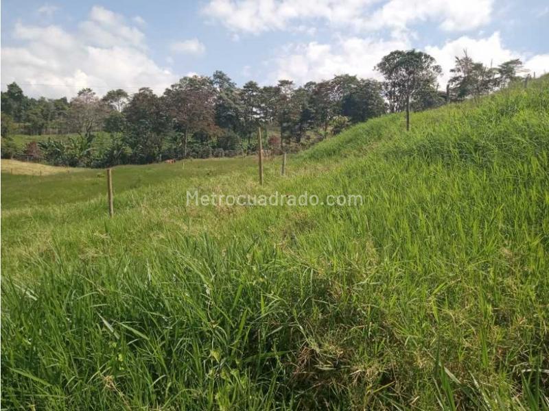 Lote en Venta, Avenida Condina, Pereira - Vista 4