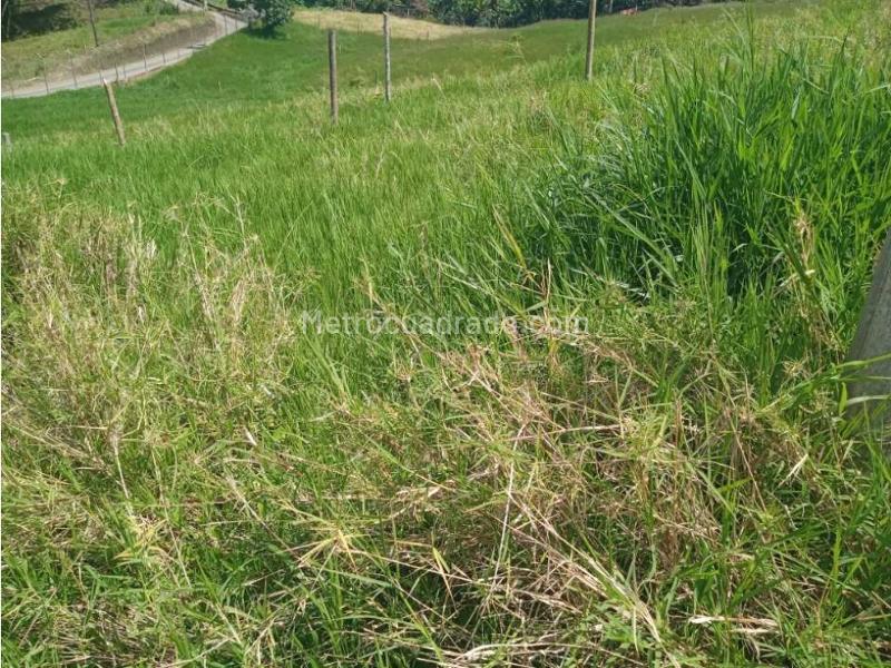 Lote en Venta, Avenida Condina, Pereira - Vista 5