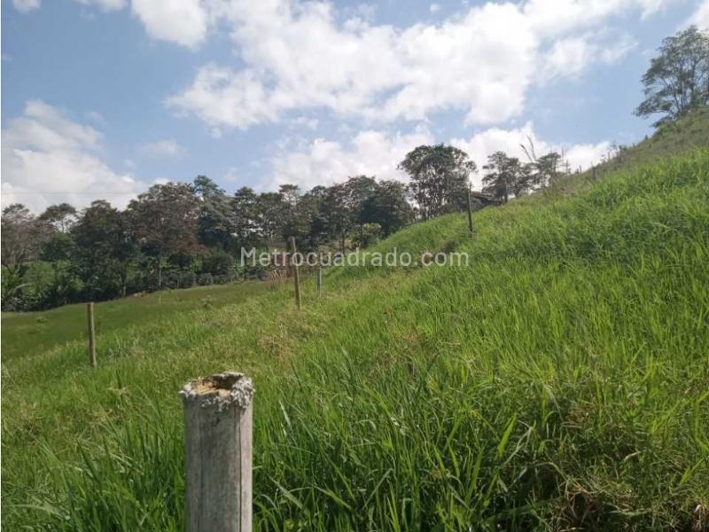 Lote en Venta, Avenida Condina, Pereira - Más