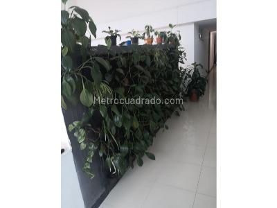 Apartaestudio en venta en Centro, Pereira, 38 m² · foto 7 de 11