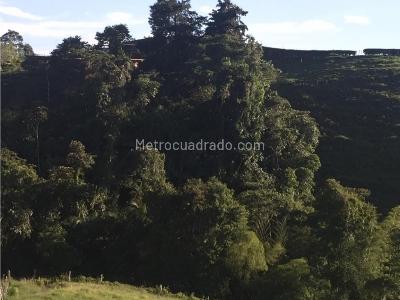 Casa de 3 alcobas en venta en Avenida Condina, Pereira · foto 10 de 20