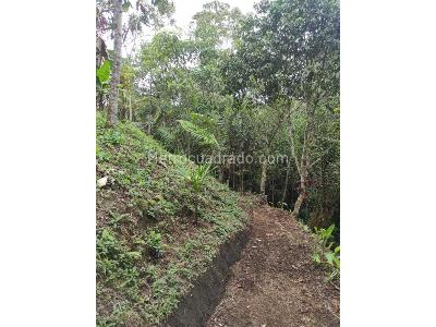 Casa de 3 alcobas en venta en Avenida Condina, Pereira · foto 12 de 20