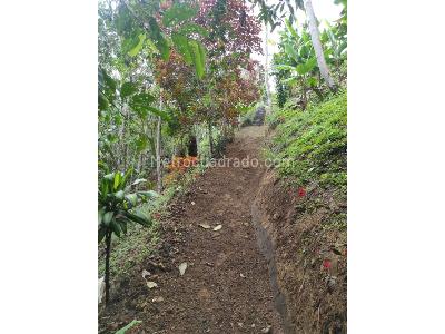 Casa de 3 alcobas en venta en Avenida Condina, Pereira · foto 13 de 20