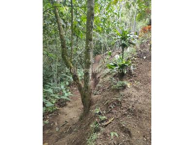 Casa de 3 alcobas en venta en Avenida Condina, Pereira · foto 15 de 20