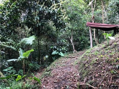 Casa de 3 alcobas en venta en Avenida Condina, Pereira · foto 17 de 20
