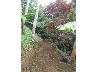 Casa de 3 alcobas en venta en Avenida Condina, Pereira · foto 18 de 20