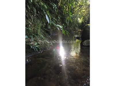 Casa de 3 alcobas en venta en Avenida Condina, Pereira · foto 19 de 20