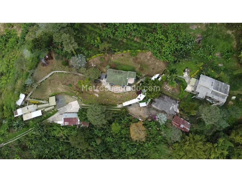 Casa – Pereira - Vista 2