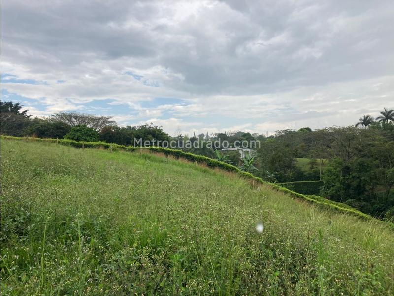 Lote en Venta, Cerritos, Pereira - Vista 5