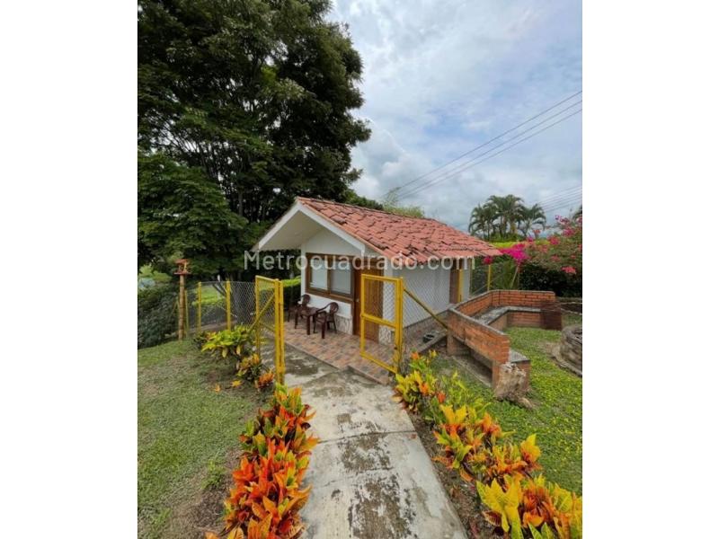 Casa – Pereira - Más