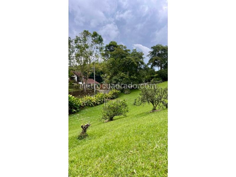 Casa – Pereira - Vista 4