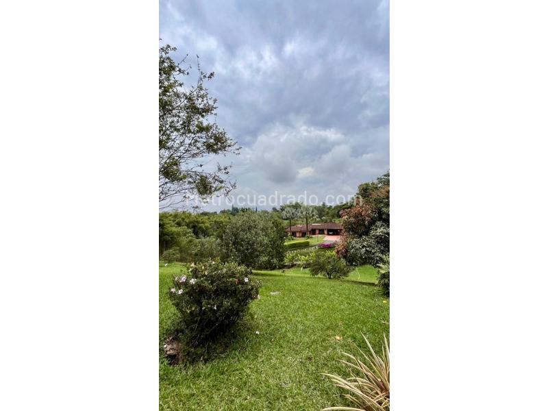 Casa – Pereira - Vista 5