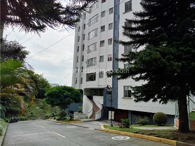 Apartaestudio en Arriendo, Circunvalar Alamos, Pereira