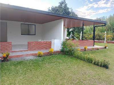 Apartaestudio en Arriendo, Morelia, Pereira en arriendo en Morelia