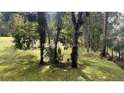 Casa de 4 alcobas en venta en Alto Las Palmas, Envigado · foto 10 de 20