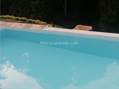 Casa en venta en Cerritos, Pereira · foto 6 de 20