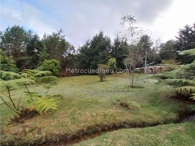 Casa de 4 alcobas en venta en Alto Las Palmas, Envigado · foto 13 de 20