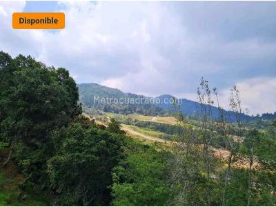 Casa de 4 alcobas en venta en Loma Del Escobero, Envigado, 700 m² · foto 13 de 20