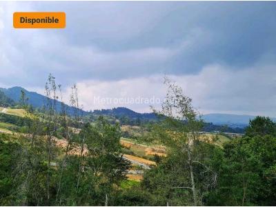 Casa de 4 alcobas en venta en Loma Del Escobero, Envigado, 700 m² · foto 14 de 20