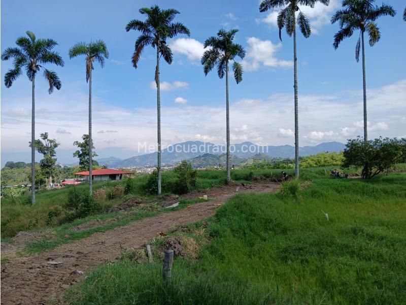 Lote en Venta, Mundo Nuevo, Pereira - Vista 3