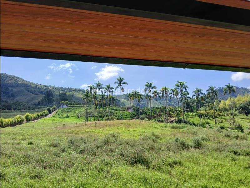 Lote en Venta, Mundo Nuevo, Pereira - Vista 4