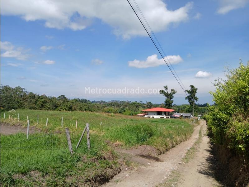 Lote en Venta, Mundo Nuevo, Pereira - Vista 5