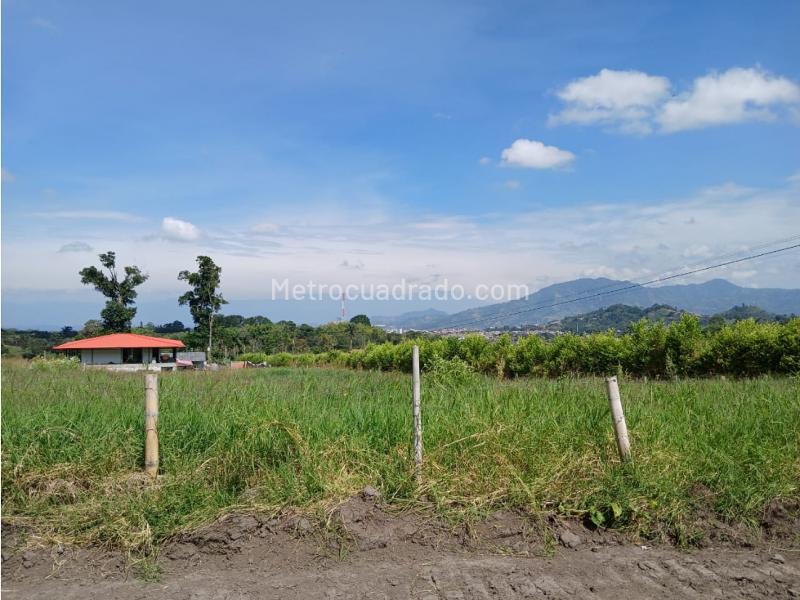 Lote en Venta, Mundo Nuevo, Pereira - Más