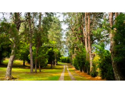 Casa de 4 alcobas en venta en Llanogrande, Rionegro, 500 m² · foto 14 de 20