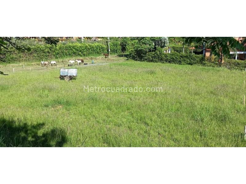 Lote en Venta, Cerritos, Pereira - Vista 4