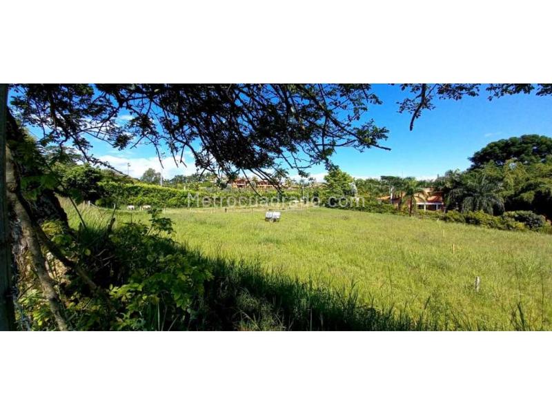 Lote en Venta, Cerritos, Pereira - Más