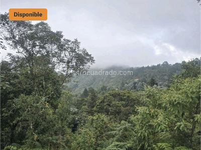 Casa de 3 alcobas en venta en La Catedral, Envigado · foto 15 de 17