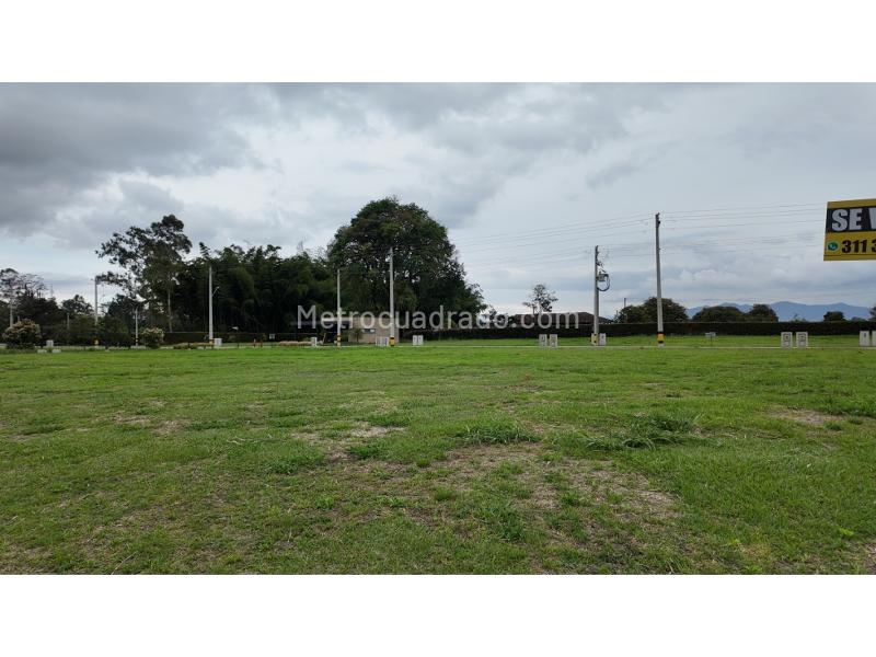 Lote en Venta, Rionegro, Rionegro - Vista 4