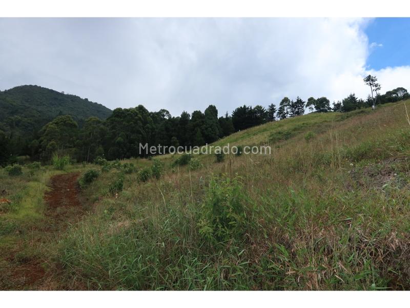 Lote en Venta, Las Palmas, Medellín - Vista 5